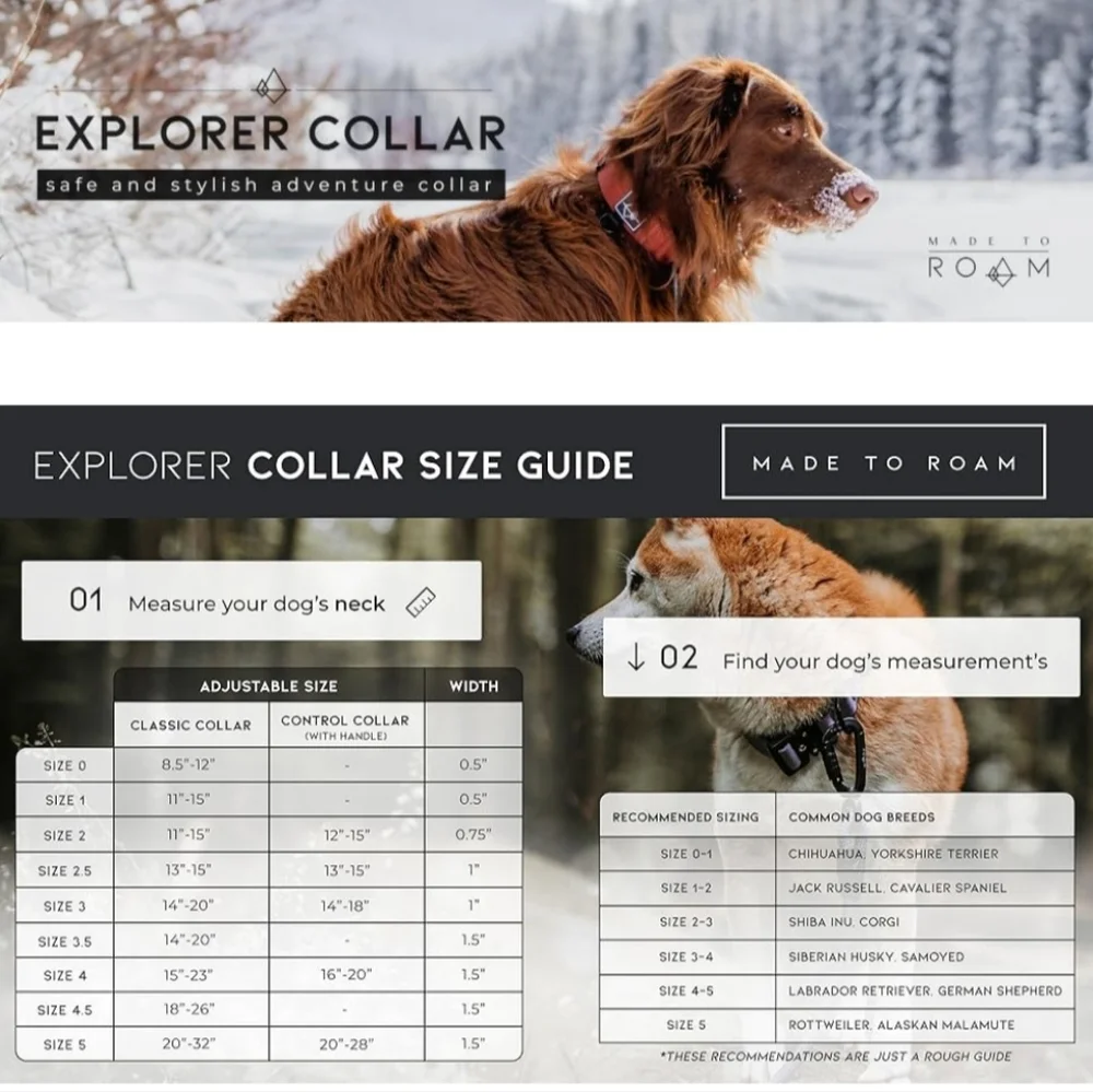 Explorer Roam Dog Collar